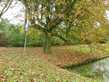 hoera het is herfst....
