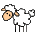 schaap